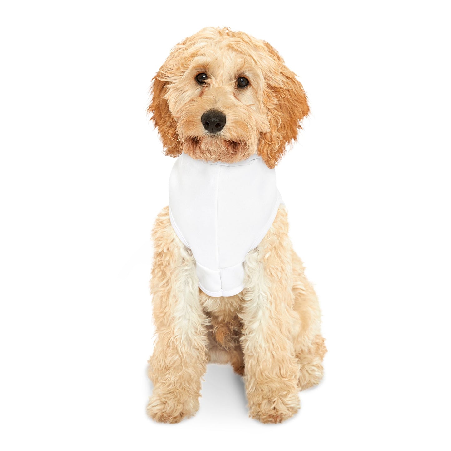 Pet Hoodie - Because Your Pet Loves to Kiss You