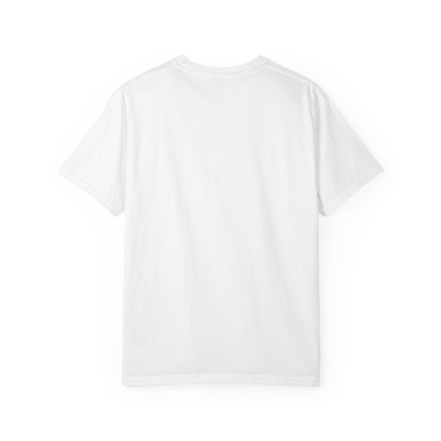 Once is A Mistake, Twice is Stupid T-Shirt